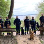Hundespaziergang am Ankunftstag